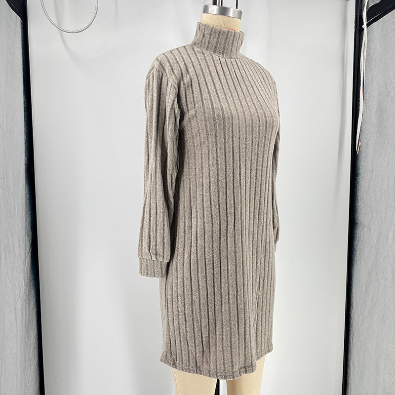 Turtleneck Slim Mini Dress