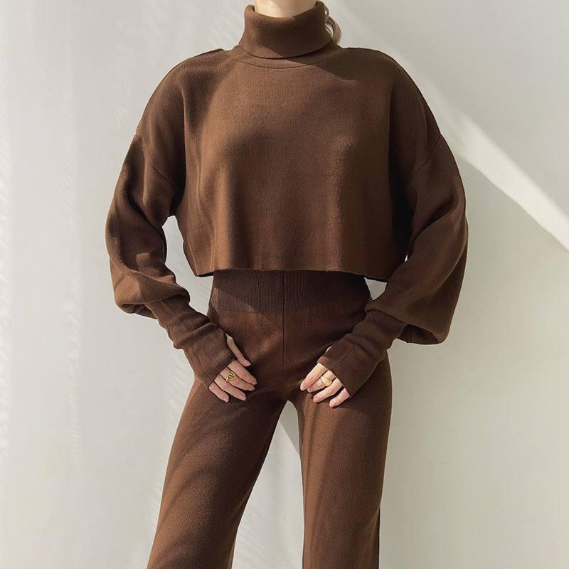 Autumn And Winter New European And American Turtleneck Loose Long Sleeve Top Female Casual Fashion Set-Brown-4