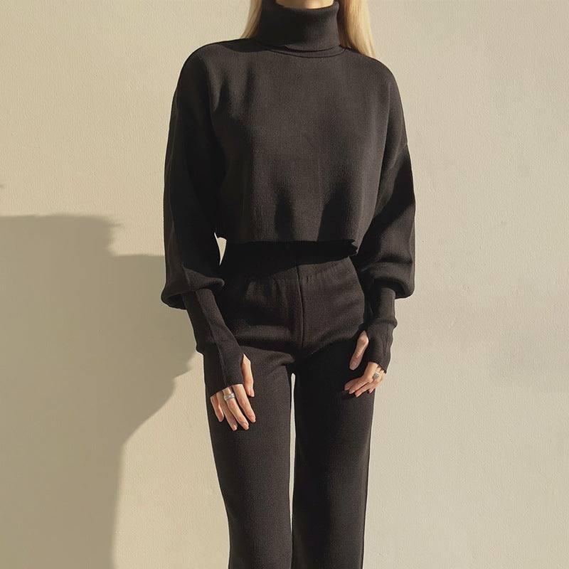 Autumn And Winter New European And American Turtleneck Loose Long Sleeve Top Female Casual Fashion Set-Black-6