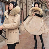 Korean women's cotton coat-Khaki-1